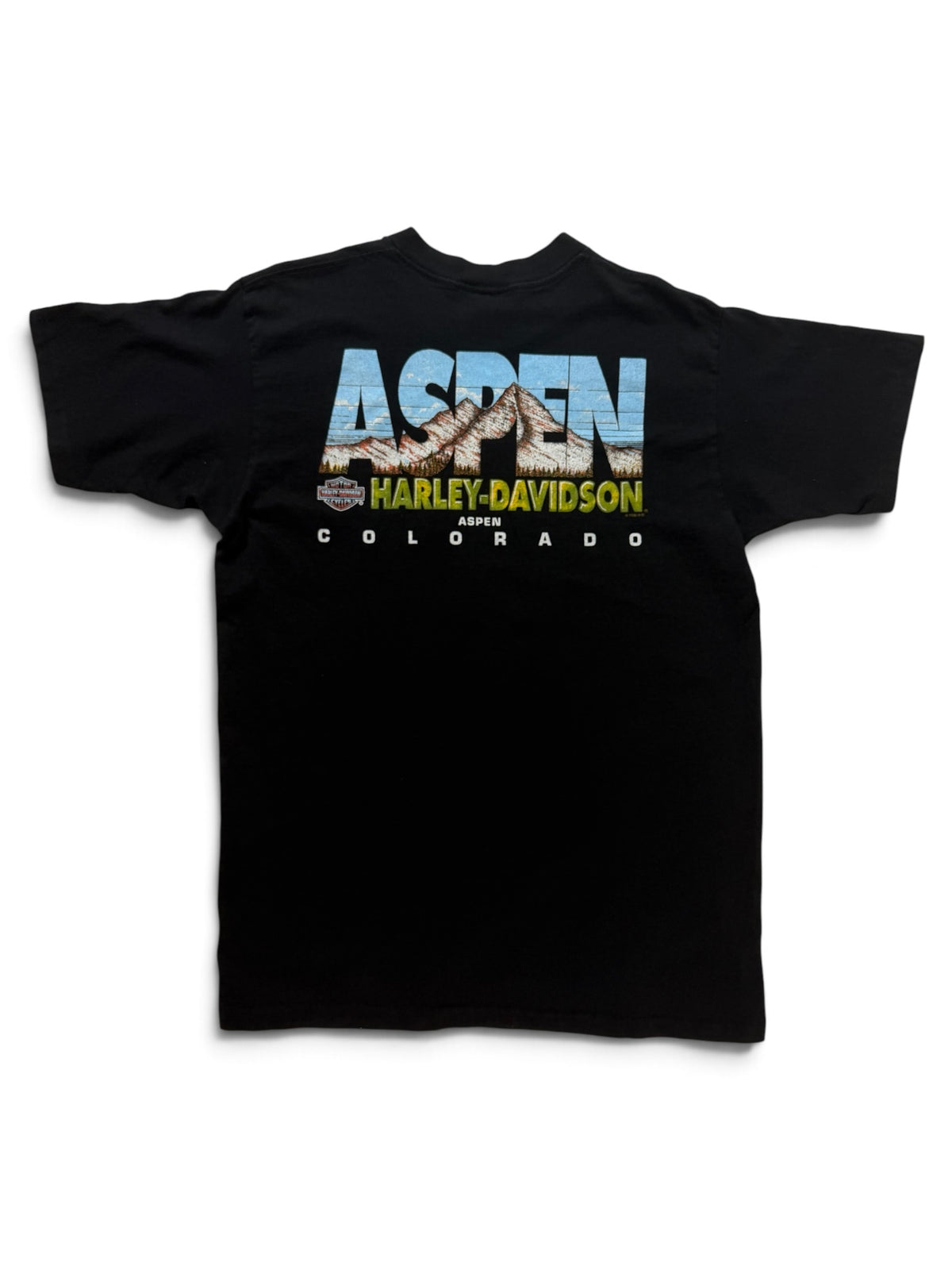 Vintage 90s Harley-Davidson Aspen Tee